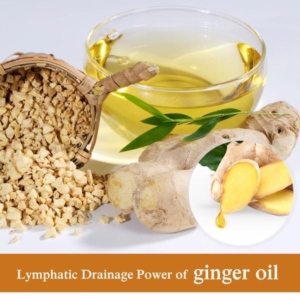 Plant Therapy Lymphatic Drainage Ginger Oil – Detox & Revitalize🌿