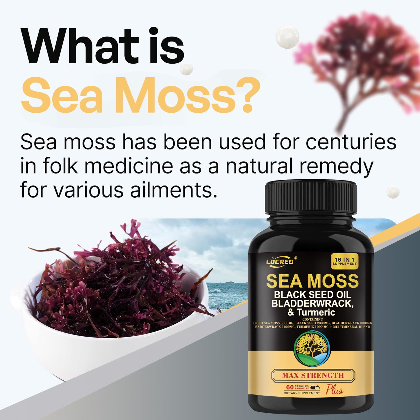 Sea Moss + Black Seed Oil + Bladderwrack & Turmeric – 16-in-1 Superfood Capsules